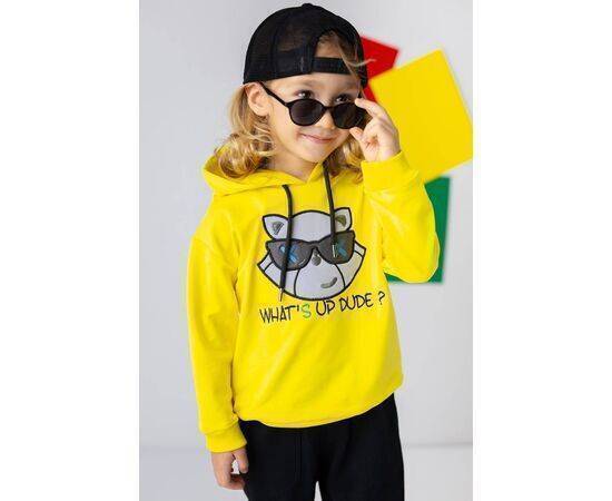 Cat Embroidered Hoodie for Boys